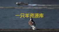 一只羊资源库